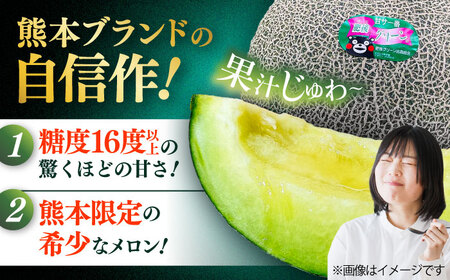 【先行予約】 【数量限定】 山鹿の恵み! 匠の育てた　肥後グリーン メロン 約2㎏以上（約2kg以上×1玉）【きもと農園】[ZFQ002]
