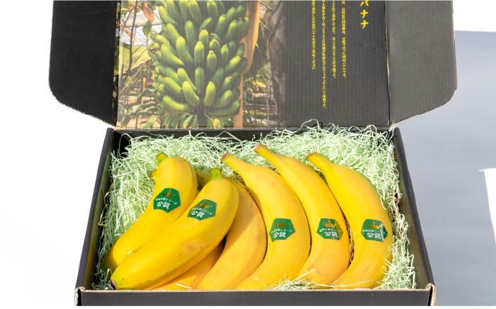 【2024年度分予約受付中】《季節限定8月-11月出荷》 バナナ 1kg （5 - 7本程度） 皮ごと食べられる！壱岐王様バナナ  [JEL001] 34000 34000円