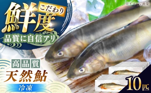 ＜冷凍＞天然あゆ 19～22cm 10匹入り（1キロ） / あゆ 天然 鮎 冷凍 / 恵那市 / 恵那物産館 [AUFS008]