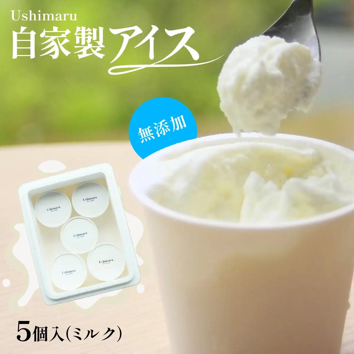 Ushimaru自家製アイス5個入（ミルク） SMBM014