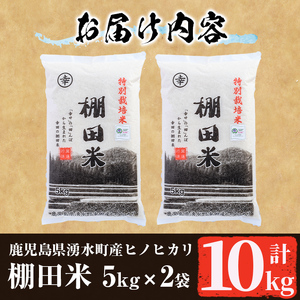 C09 鹿児島県産ひのひかり 棚田米10kgセット(5kg×2袋) 国産 九州産 お米 おこめ 米 10kg おにぎり ごはん ご飯 【くりの物産館】