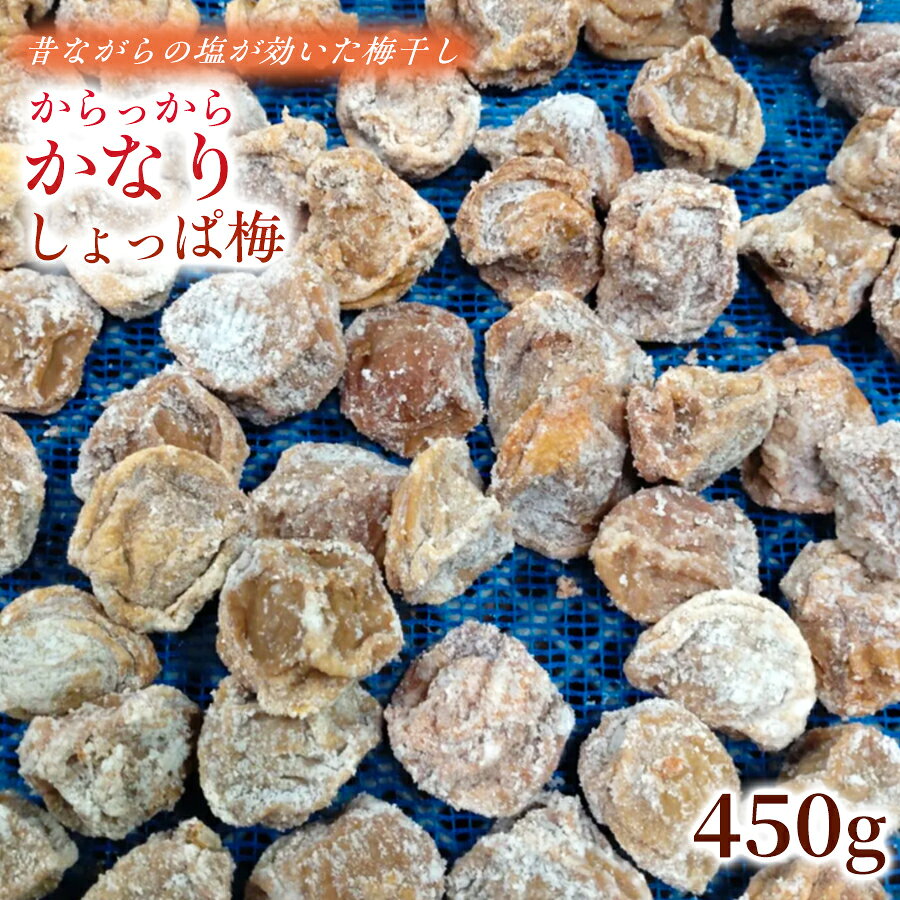 【ふるさと納税】【しょっぱいの好きがハマる！】 【2026年6月以降発送予定】 昔ながらの塩が効いた梅干し からっからかなりしょっぱ梅（450g） ｜梅干し 梅干 無添加 無着色 自家栽培 国産 みなべ産 手作り こだわり 家庭用 和歌山県 みなべ町