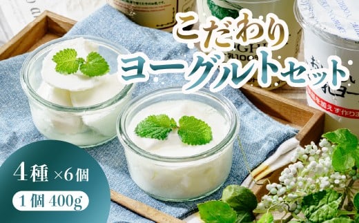 こだわりヨーグルトセット 食べ比べ 400g×6個 2,400g｜乳製品 ヨーグルト 牛 牛乳 低脂肪 酵母 ジャージー牛 有機牧草 プレーン フルーツ 詰め合わせ スイーツ お取り寄せ お菓子 ギフト 贈答 贈り物 乳酸 低糖 低カロリー  群馬県 前橋市