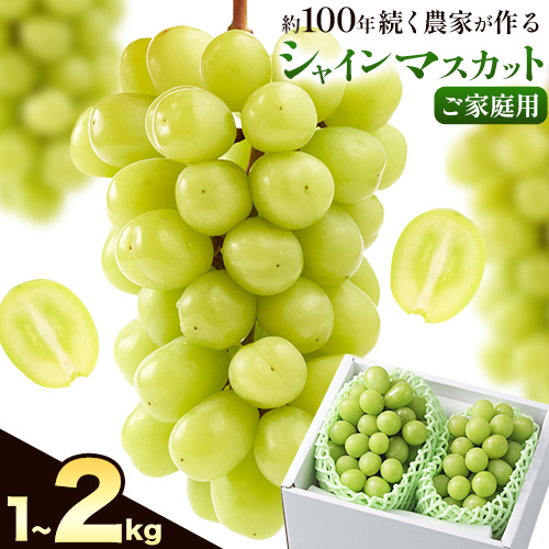 【2026年先行予約】ぶどう シャインマスカット ご家庭用 農家こだわりの シャインマスカット 2房 3～5房 約1kg ～ 2kg 《2026年9月中旬-10月下旬頃出荷(土日祝除く)》 Nini farm マスカット 送料無料 岡山県 浅口市 フルーツ 果物 贈り物 国産 岡山県産 くだもの 果物 青果物