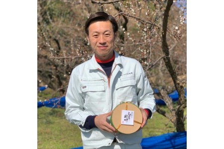 【0521-5】贈答 紀州南高梅 しそ梅木樽入り 1kg