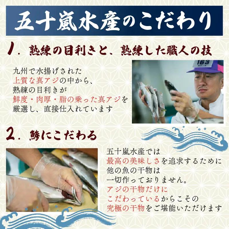 訳あり アジ 干物 約2.8kg 国産 真アジ 鯵 沼津 アジ
