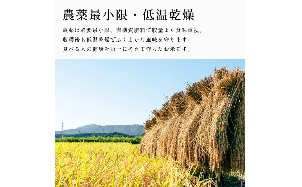 【新米受付・令和8年産米】自然豊かな風土が育んだ新潟県村上市岩船産コシヒカリ15kg（5kg×3袋）NC4023