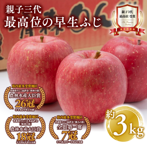 【10月発送】 親子三代最高位の早生ふじ 約3kg【全国ふじコンテスト最高賞受賞農園・平川市広船産りんご】