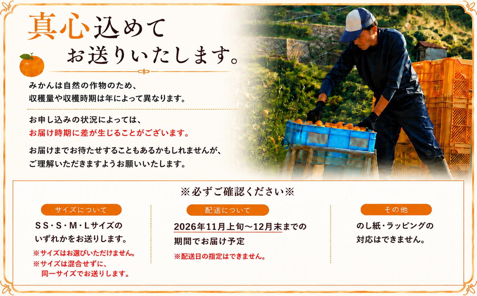 有田みかん「未来への虹」10kg(A2-2)