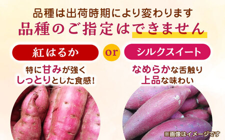先行予約 紅はるかorシルクスイート蜜芋10kg サツマイモさつまいも国産 ZCN001