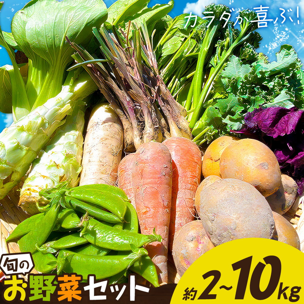 【ふるさと納税】野菜 詰め合わせ セット 旬の野菜セット おまかせ 野菜便 選べる容量 約2kg 約5kg 約10kg ここちゃん農園 《30日以内に出荷予定(土日祝除く)》徳島県 美馬市 送料無料 野菜類 お野菜セット 白菜 大根 にんじん ルッコラ ネギ ほうれん草 黒キャベツ