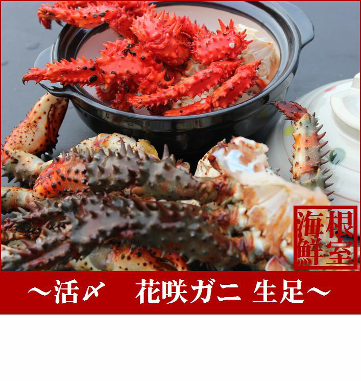 【ふるさと納税】[北海道根室産]活〆花咲ガニ生足600g A-57020