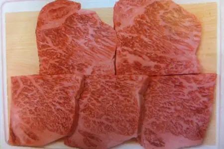 飛騨市推奨特産品 飛騨牛最高級5等級のロース・ハーフステーキ5枚で計500ｇをお届け！ [AW015]