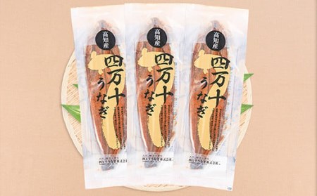 【鰻大好き定期便】四万十うなぎ 蒲焼き≪大≫ 6カ月定期 160gx3本／ うなぎ 国産鰻 土用の丑の日