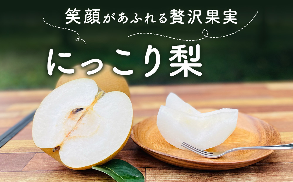 梨(にっこり) 2玉入り×1箱 (内容量1玉900g以上)※2025年10月上旬～11月下旬頃に順次発送予定