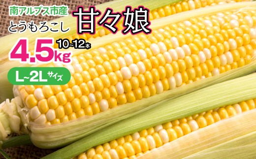 ＜2026月6月上旬~7月中旬 発送＞【みやび農園】山梨県産とうもろこし (甘々娘)  ALPGD001　 ふるさと納税 山梨県 南アルプス市 とうもろこし 甘々娘  送料無料