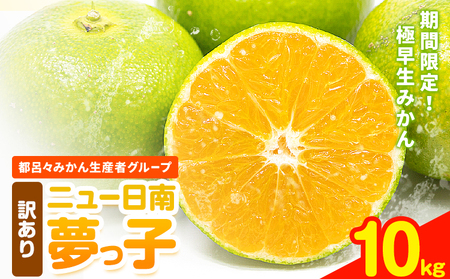 【先行予約】 極早生みかん ニュー日南「夢っ子」10kg ｜みかんみかんみかん都呂々