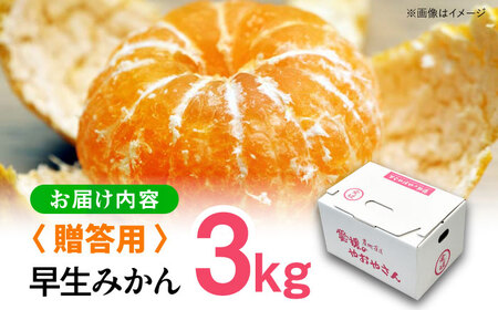 みかん 3kg （早生）【贈答】みかん 柑橘 [AGAR007]