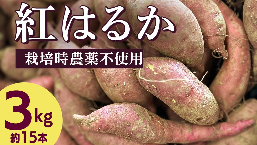 
                  ＼先行予約／ さつまいも 紅はるか 栽培期間中農薬不使用栽培 3kg 【2026年 11月以降発送】サツマイモ さつま芋 焼き芋 デザート 秋 旬 やきいも 芋 イモ 野菜 茨城県 城里町 (BJ008)
                