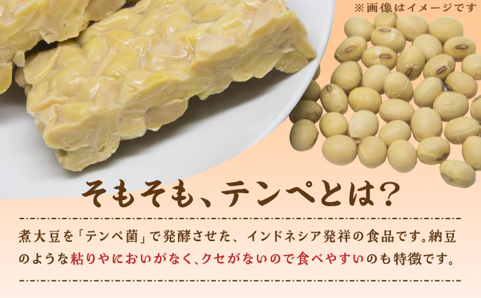 しろいしてんぺ入り！ チーズケーキ 酥 【おかしの中央堂】 [IDA001]