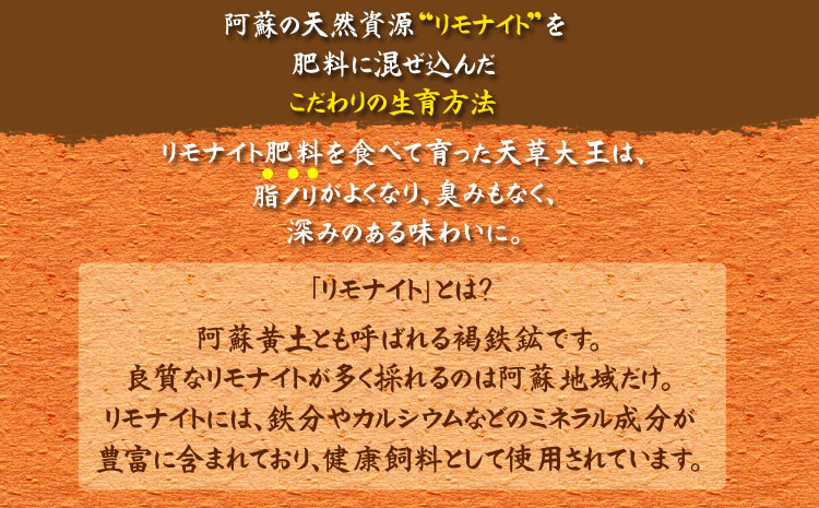 【JALふるさと納税限定】ご当地直行便　天草大王と阿蘇タカナード　くまもと地鶏 地鶏 肉 鶏肉 もも　人気 希少 貴重 美味しい ヘルシージューシー コラーゲン　高菜　農林水産省　優良ふるさと食品　 