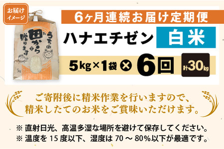 【先行予約】【令和8年産・新米】定期便 ≪6ヶ月連続お届け≫ ハナエチゼン5kg×6回 計30kg ～本原農園からまごころコメて～（白米）【2026年9月上旬以降順次発送予定】 [F-8910_01]