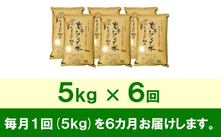 3人に1人がリピーター! ☆全6回定期便☆ 岩手ふるさと米 5kg×6ヶ月 令和5年産 一等米ひとめぼれ 東北有数のお米の産地 岩手県奥州市産 [U0141]