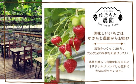 【先行予約】ゆきもと農園 幻のいちご 真紅の美鈴 30粒入  12月中旬～3月頃発送