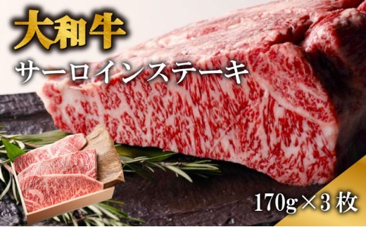 ステーキ 大和牛サーロインステーキ肉 約170g×3枚 ステーキ 大和牛 牛肉 黒毛和牛 A5ランク 肉 赤身肉 すてーき サーロインステーキ 国産 国産牛 国産品 厚切り 贈答品 奈良県 奈良市
