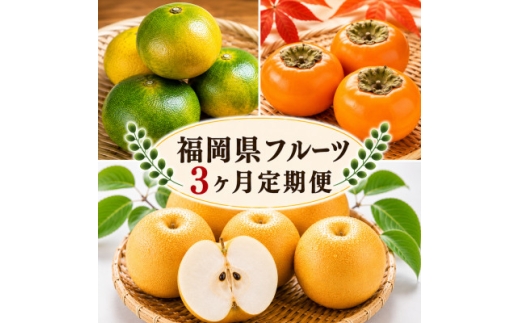 ＜発送月固定定期便＞福岡県　フルーツ3ヶ月定期便(9月～11月)全3回【4090507】