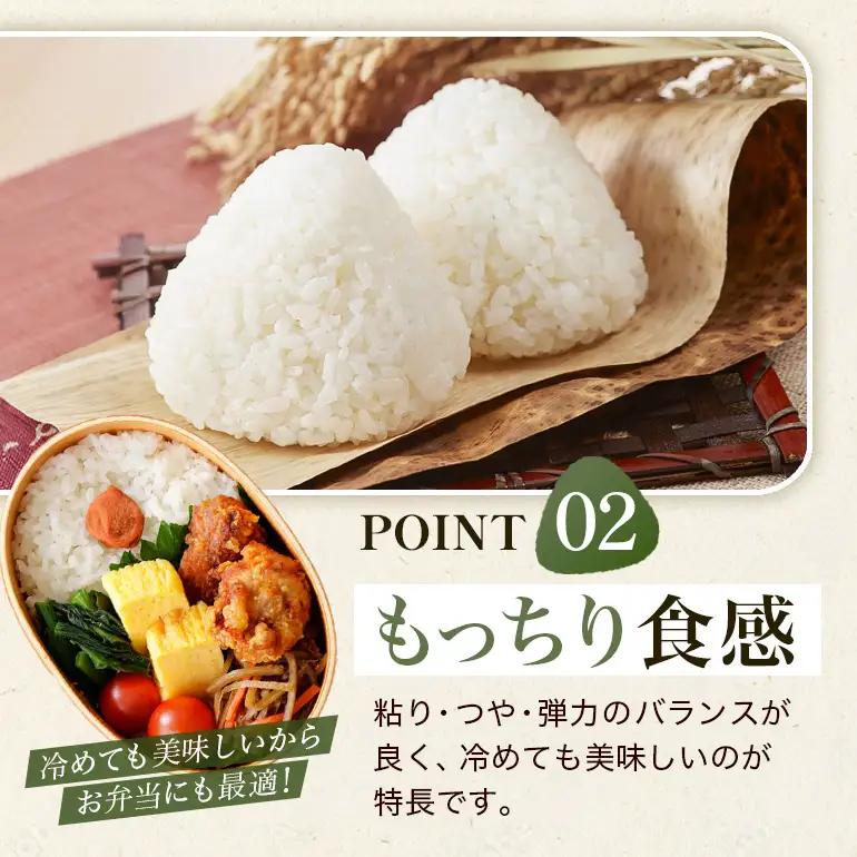【3回定期便】 ひのひかり 米 お米 玄米 20kg 令和8年産 新米 【JA福岡くるめ にじの耳納の里】 A01-011-BW03-320