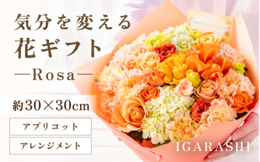 気分を変える花ギフト-Rosa-(アレンジメント・アプリコット) [aw062-c002_05]