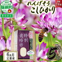 【ふるさと納税】 米 れんげそう こしひかり 5kg × 6回 【 6か月 定期便 】 ( 令和7年産 ) 特別栽培米 仲俣農園 長野県 飯綱町 〔 コシヒカリ 白米 精米 お米 信州 159000 円 予約 農家直送 〕発送時期：2025年10月上旬〜 [お届け6回 (**)]