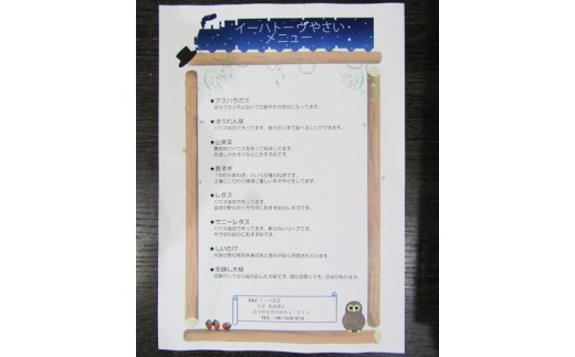 イーハトーヴ野菜A お試しセット 6品～ 【029】