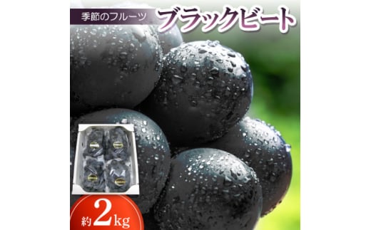 季節のフルーツ「ブラックビート」約2kg＜令和7年8月発送＞【1609799】