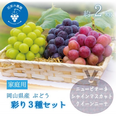 岡山　花笑み農園『彩り3種セット』(シャイン、クイーンニーナ、ピオーネ)(3房)家庭用　3M-2家【配送不可地域：離島・北海道・沖縄】【1627521】