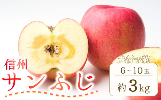 【2025年先行予約】 りんご サンふじ 約3kg (6～10玉) | 果物 フルーツ 長野県産 千曲市 信州