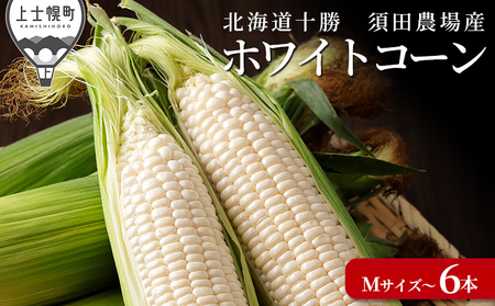 北海道産 ホワイトコーン 計6本 上士幌町須田農場 白いスイートコーン とうもろこし 野菜 冷蔵便 ◆2025年08月配送予定