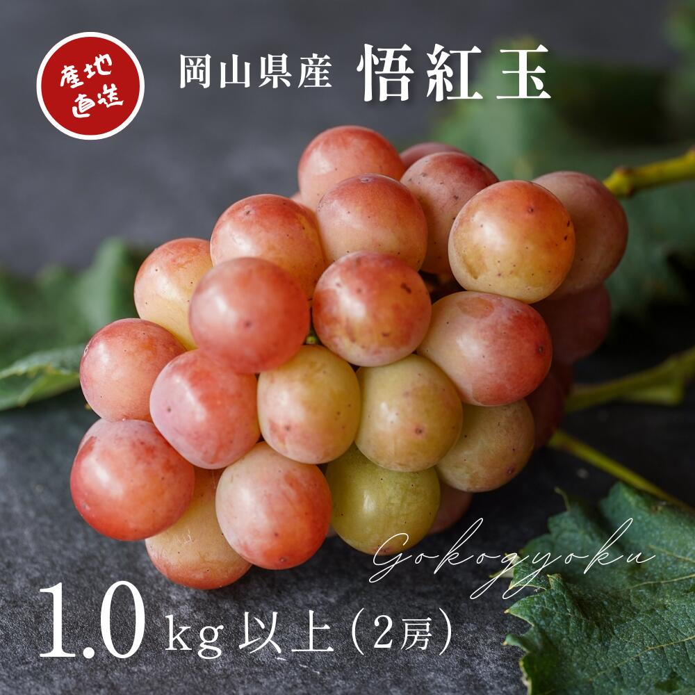 【ふるさと納税】 【2026年先行予約】 厳選 岡山県産 悟紅玉 1.0kg以上 2房 旧ゴルビー / 産地直送 朝採れ ぶどう 葡萄 先行予約 くだもの フルーツ 真庭市