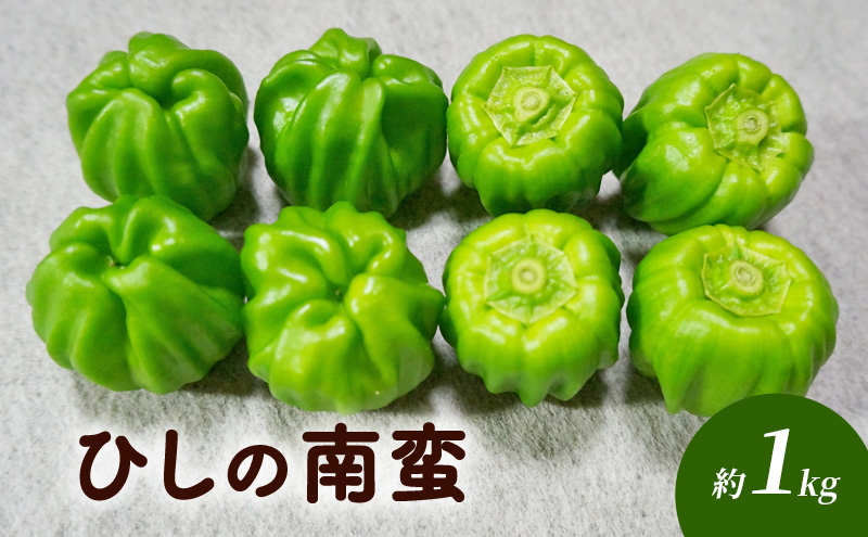 
                  ひしの南蛮 約1kg 野菜 国産 国産野菜 アオトウガラシ 信州の伝統野菜 柔らかい 旬の食材 旬の野菜 [№5915-1301]
                