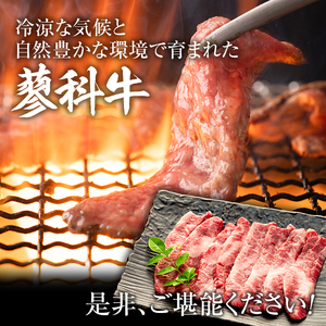 蓼科牛バラ焼肉120g×2　　　　