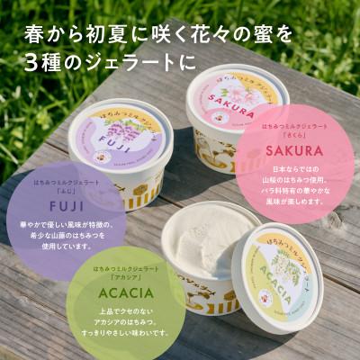 ふるさと納税 あきる野市 はちみつミルクジェラート10個セット(はちみつ2種各1瓶付き) |  | 02