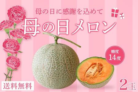 母の日ギフト 母の日メロン【２玉】｜沖縄・宮古島産