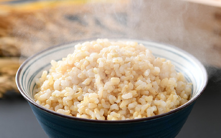 【先行予約】【令和7年産 新米】エコ栽培コシヒカリ 玄米10kg（5kg×2） ／ 鮮度抜群 福井県産 こしひかり ご飯 新鮮 玄米 ※2025年10月上旬より準備出来次第発送 [aw063-a003