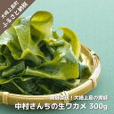 【ふるさと納税】1~2月発送予定 漁師 中村さんち 生ワカメ 600g シルキー 食感 広島県 大崎上島町 瀬戸内 離島 国産 海藻 わかめ ギフト 送料無料 産地直送