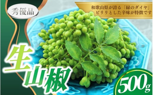 【先行予約】ぶどう生山椒 500g【2026年5月上旬～5月中旬頃に順次発送予定】＜味好農園＞/ 山椒 さんしょう 生山椒 生さんしょう 調味料 スパイス 香辛料 山椒の実 山椒の実生 実【agy032】