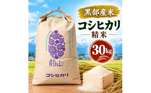 黒部産米 令和8年産コシヒカリ 精米 30kg お米 コメ 白米 こしひかり ご飯 ごはん 富山県 黒部市