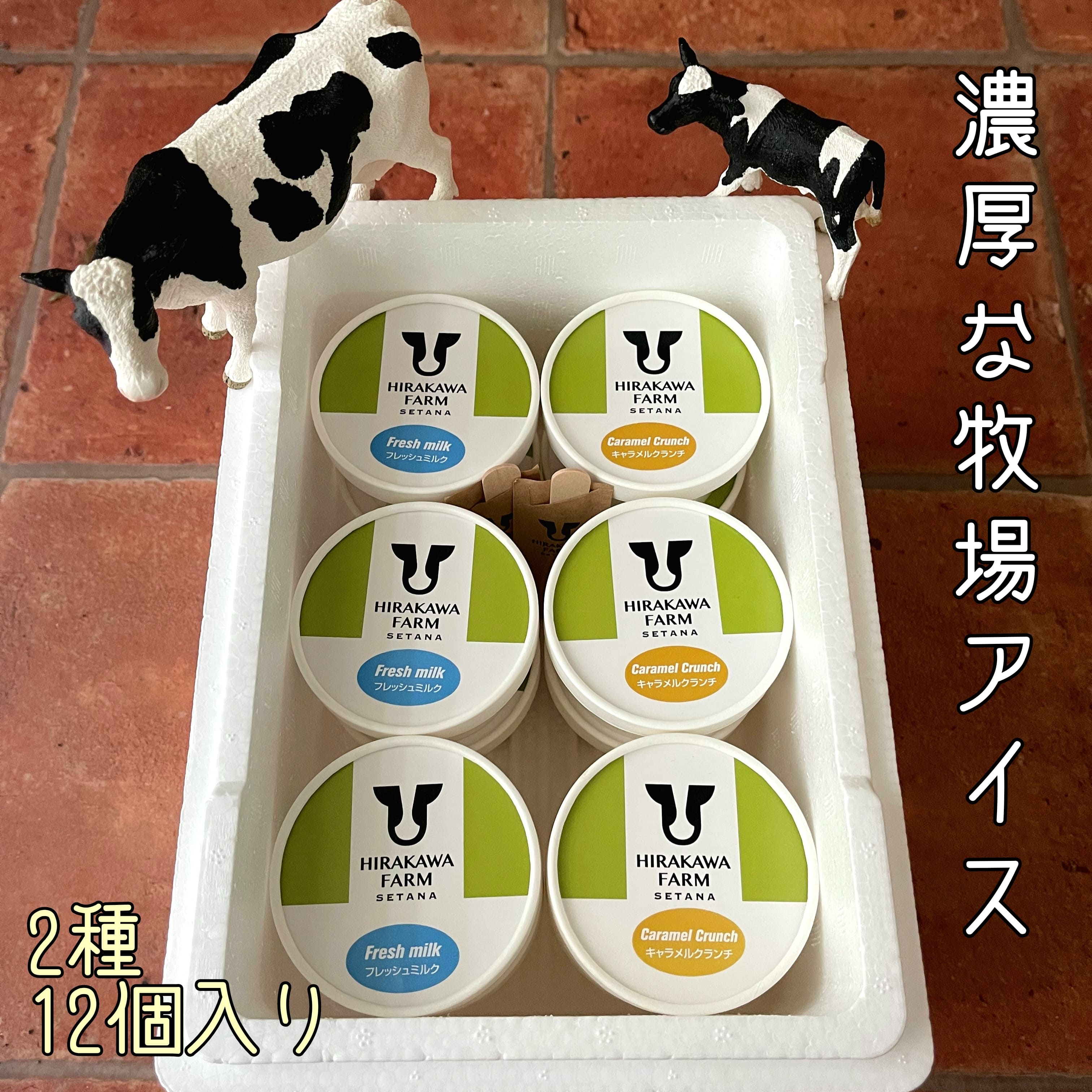 【ふるさと納税】【北海道産 搾りたて生乳使用】ひらかわ牧場 アイスクリーム おすすめ2種12個セット フレッシュミルク キャラメルクランチ デザート スイーツ お取り寄せ ギフト せたな町