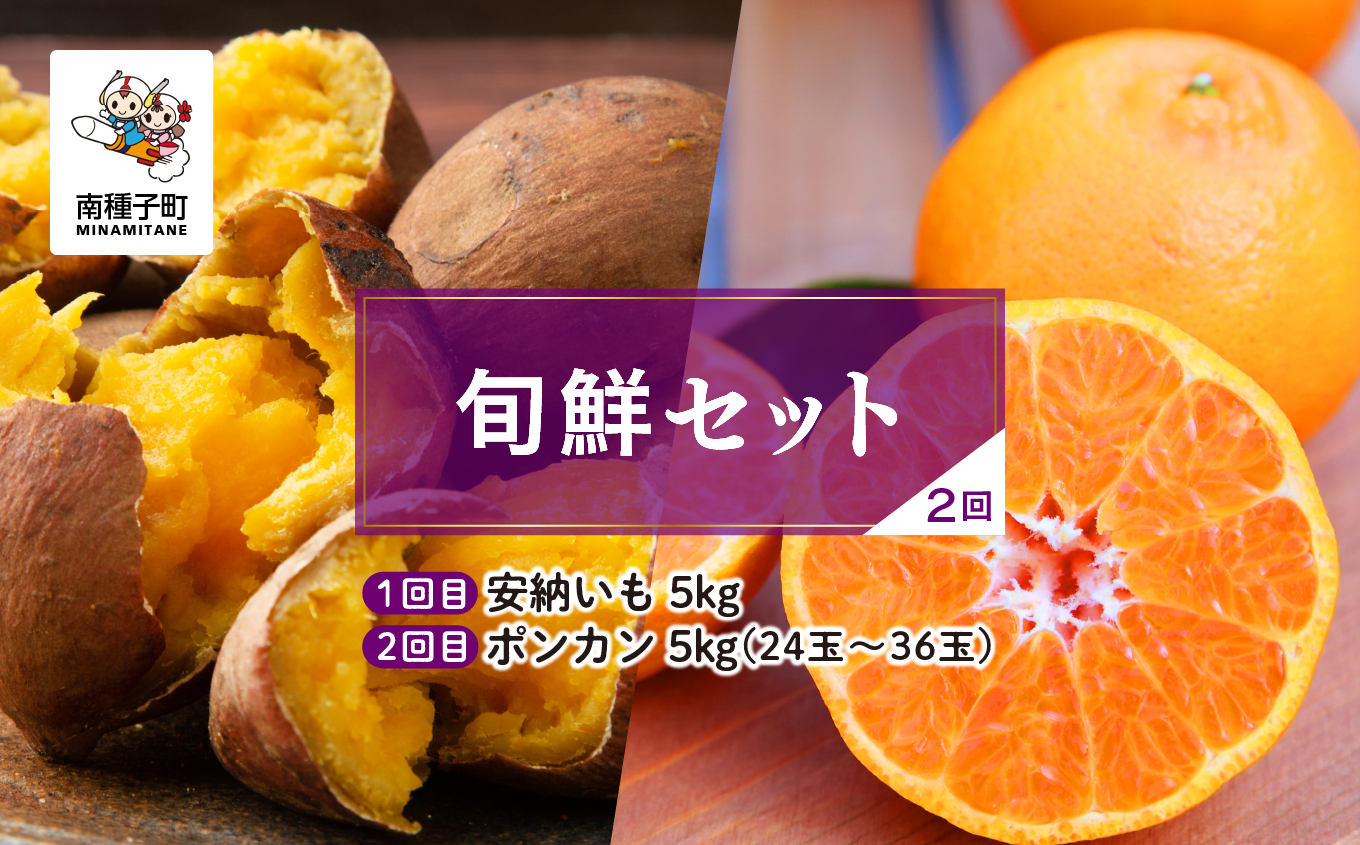 【先行予約】【定期便】 種子島 旬鮮セット 全２回 安納芋 ポンカン 人気 種子島産 返礼品 南種子町 鹿児島 かごしま 【のっちーよ種子島】