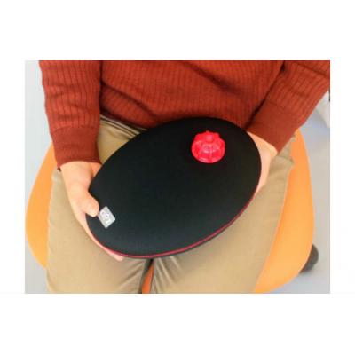 ふるさと納税 国東市 クロッツやわらか湯たんぽ/たまご型(ブラック)_0717Z-2 |  | 03